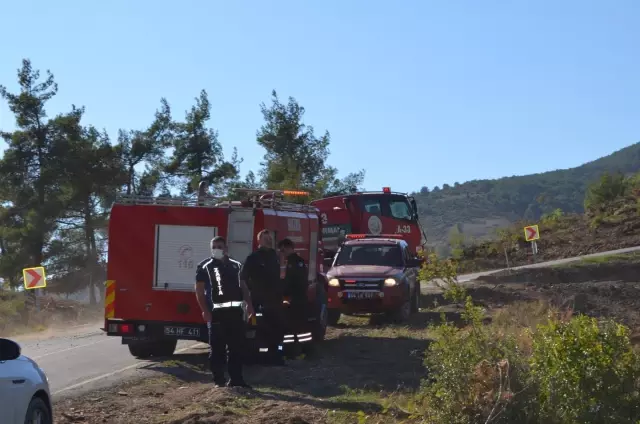 Orman yangınında 6 dönümlük alan zarar gördü