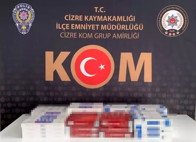 Şırnak'ta terörün finans kaynağına büyük darbe: 52 gözaltı
