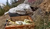 Altın kadar değerli! Kayalıkların arasından bin bir güçle çıkardıkları balın kilosunu 2 bin 500 liradan satıyorlar