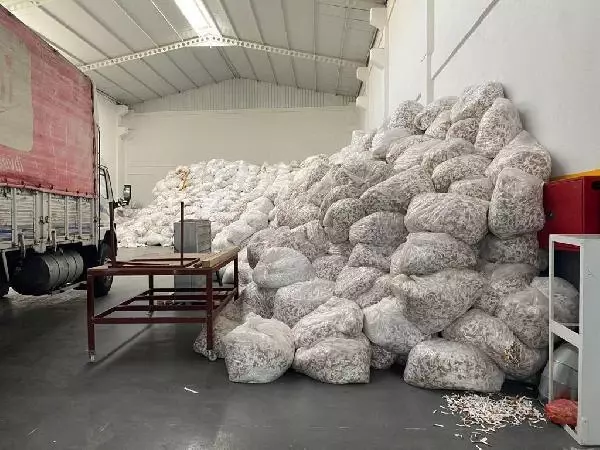 Adana'da 263 milyon 400 bin makaron ele geçirild