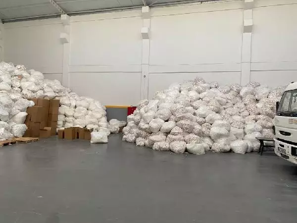 Adana'da 263 milyon 400 bin makaron ele geçirild