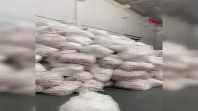 Adana'da 263 milyon 400 bin makaron ele geçirild