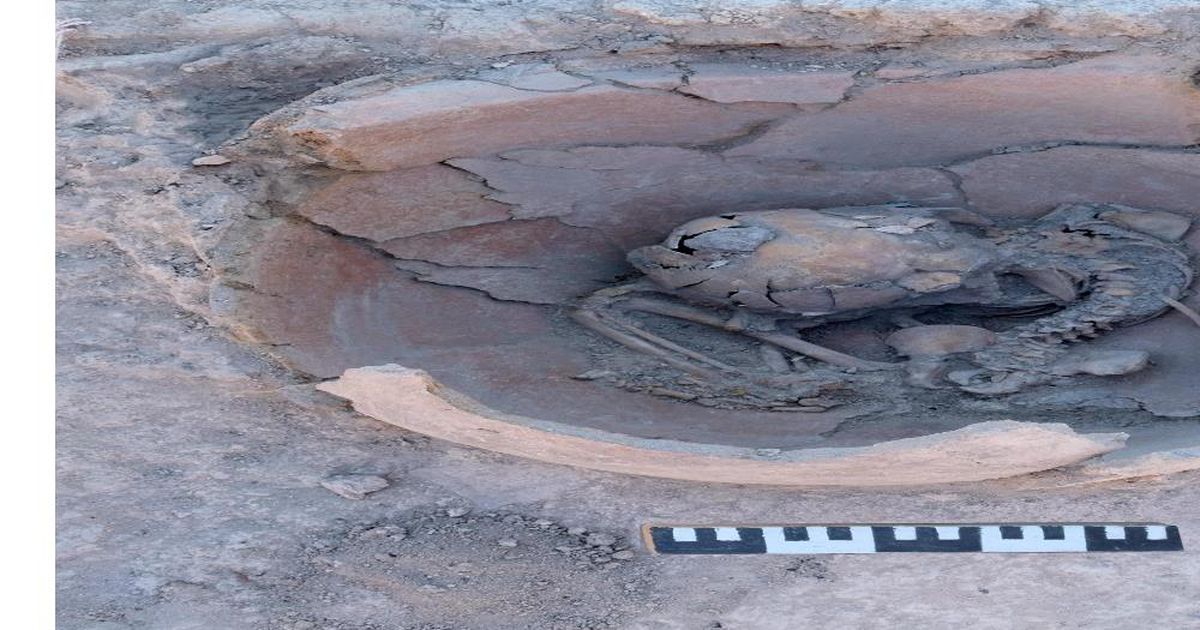 Son dakika... Arslantepe Höyüğü'nde MÖ 3600 yılından kalma 2 çocuk iskeleti bulundu