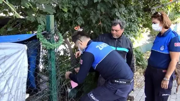 AVCILAR'DAKİ HALI YIKAMA YERİNDE SAĞLIKSIZ KOŞULDA BEKLETİLEN ETLERE EL KONULDU