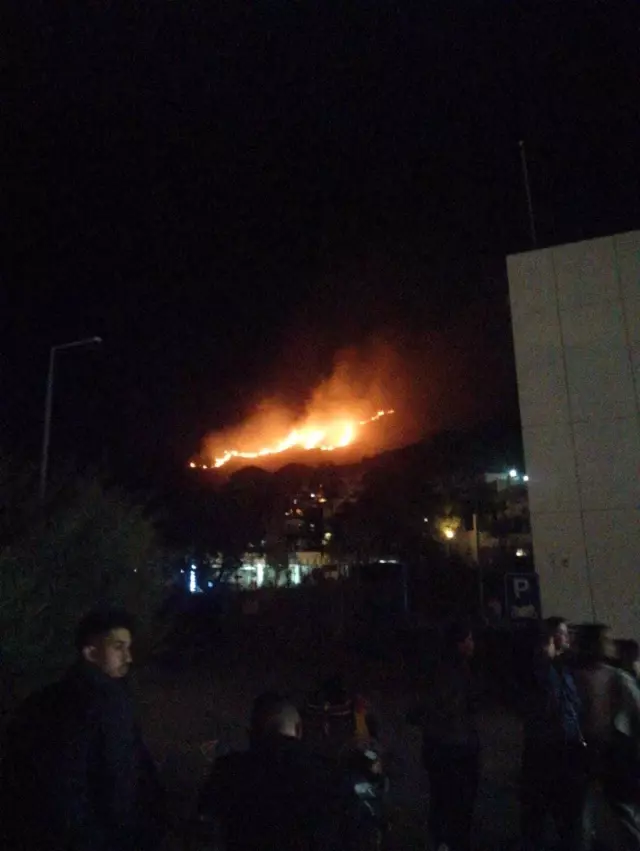 Bodrum'da 2 hektar alan yanında zarar gördü