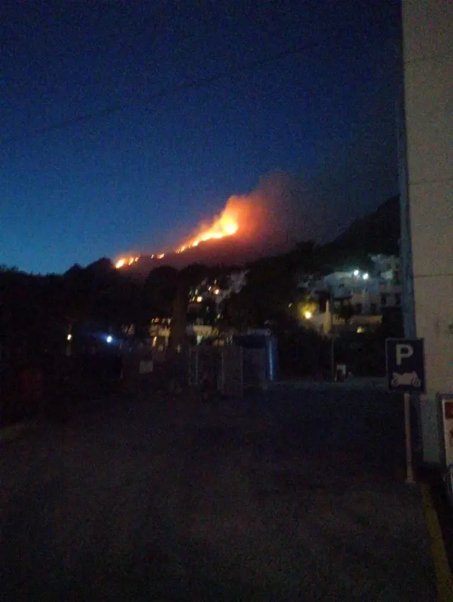 Bodrum'da 2 hektar alan yanında zarar gördü