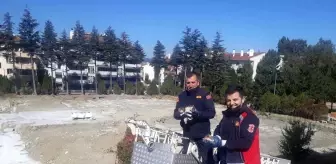 Bozüyük Belediyesi: Son dakika haber: Çatıda mahsur kalan yavru kedileri itfaiye kurtardı Bozüyük Belediyesi: Son dakika haber: Çatıda mahsur kalan yavru kedileri itfaiye kurtardı