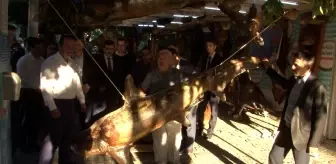 Beylikdüzü: Esenyurt Mehmet Altun Öğrenci yurdu öğretmenleri Balıkçı Kenan'ı ziyaret etti Beylikdüzü: Esenyurt Mehmet Altun Öğrenci yurdu öğretmenleri Balıkçı Kenan'ı ziyaret etti