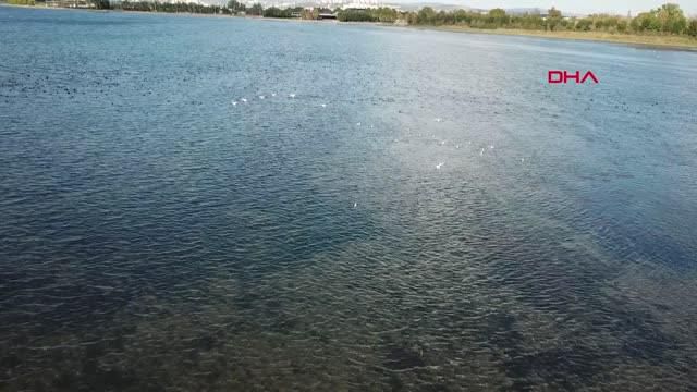 flamingo surusu izmit korfezi ni renklendirdi 3 14424985 o