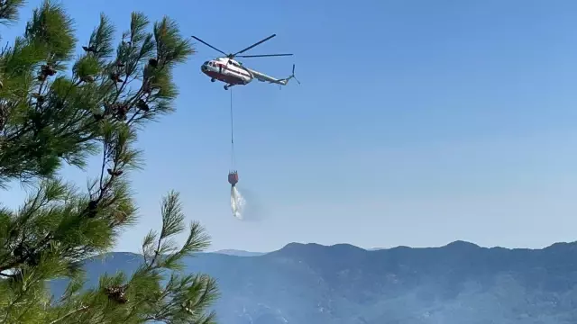 İzmir'de ormanlık alanda çıkan yangın kontrol altına alında