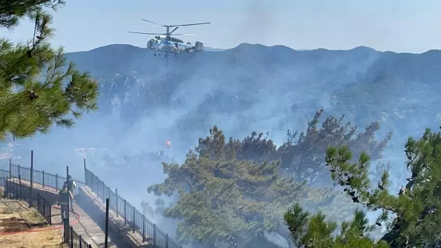 İzmir'de ormanlık alanda çıkan yangın kontrol altına alında