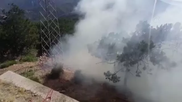 İzmir'de ormanlık alanda çıkan yangın kontrol altına alında