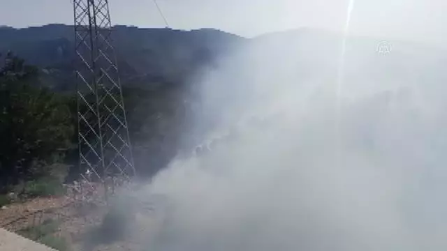 İzmir'de ormanlık alanda çıkan yangın kontrol altına alında