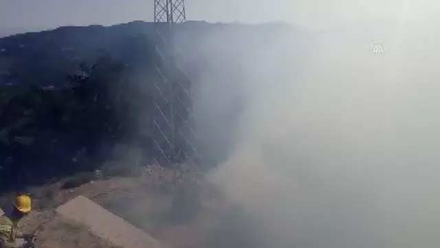 İzmir'de ormanlık alanda çıkan yangın kontrol altına alında