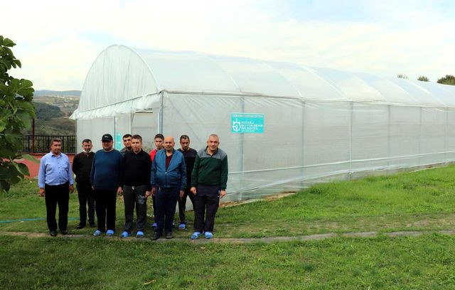ozel bireyler serada sebze yetistirilerek 2 14424407 o