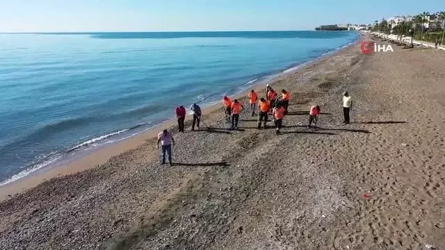 Suriye kaynaklı petrol atıkları bu kez Erdemli'de görüldü