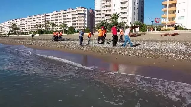 Suriye kaynaklı petrol atıkları bu kez Erdemli'de görüldü
