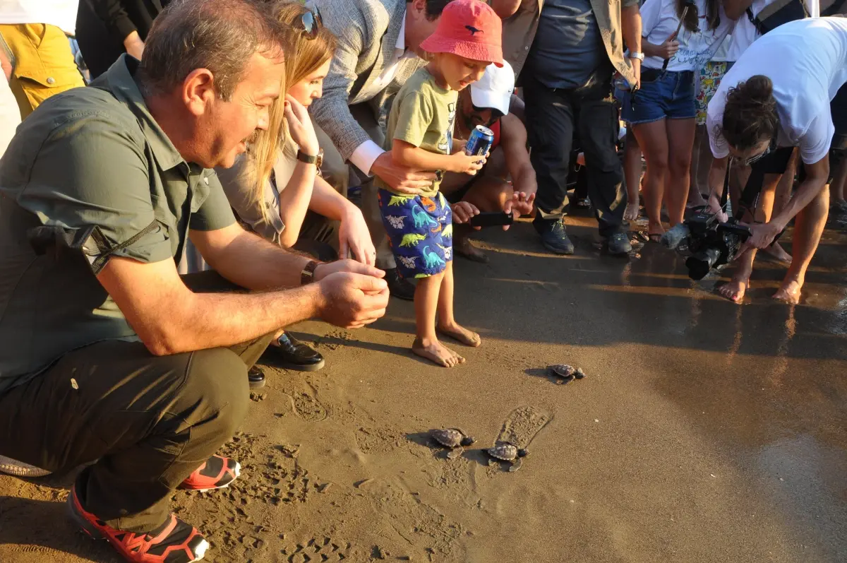 Uydu takip cihazı takılan 3 caretta caretta denize salındı