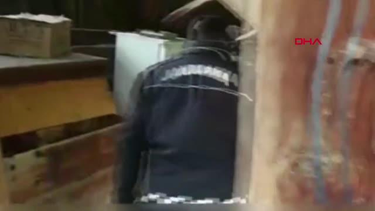 Son dakika haberi | 5 İLDEKİ UYUŞTURUCU OPERASYONUNDA 13 TUTUKLAMA