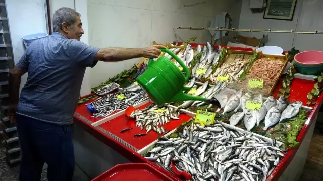 Denizlerin prensi lüfer bollaştı, fiyatı 140 liradan 100 liraya düştü