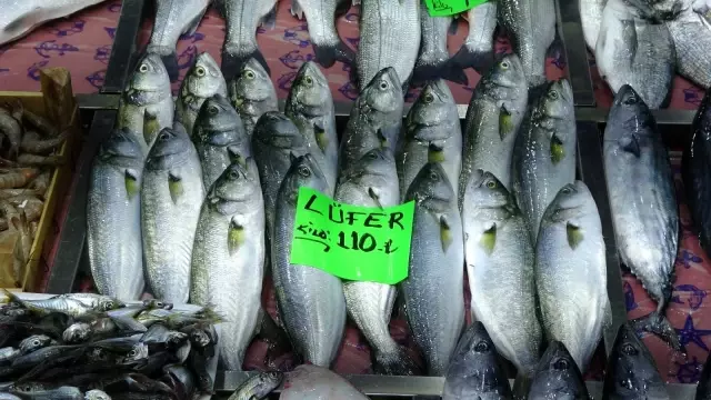 Denizlerin prensi lüfer bollaştı, fiyatı 140 liradan 100 liraya düştü