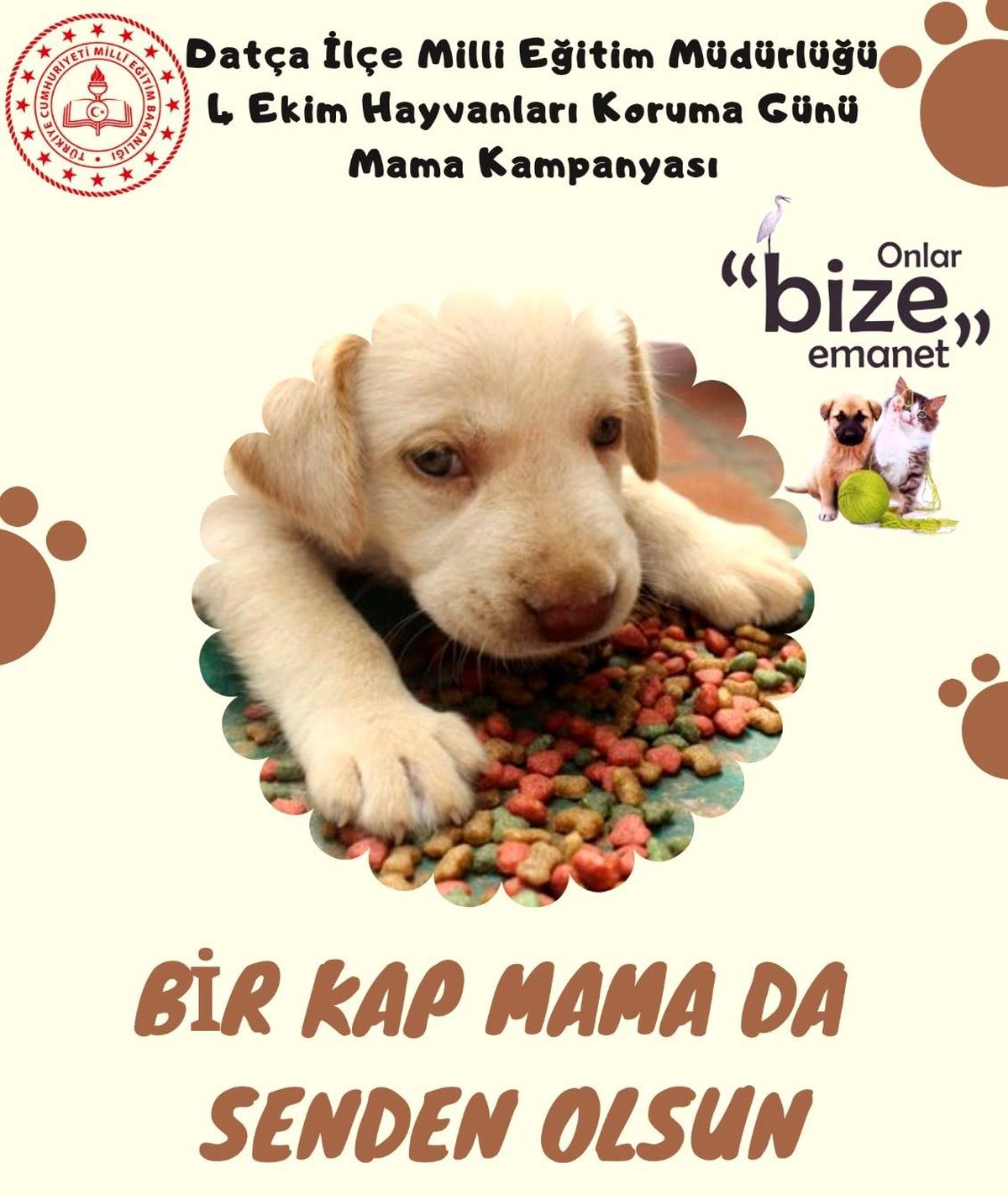 Datça İlçe Milli Eğitim'den mama kampanyası - Vimarsana News