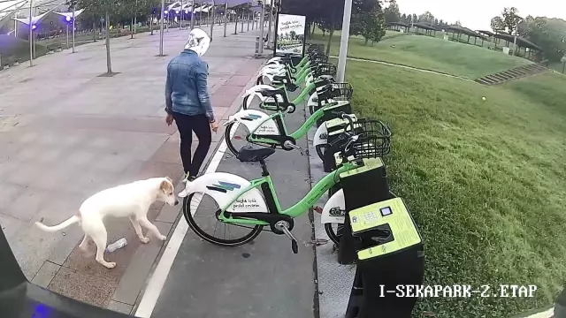 kiralik bisikletlerin tekerlerini birer birer 3 14426896 o