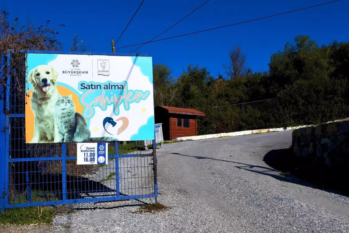 Kuşadası Belediyesi, 9 ayda 2 bin 95 can dosta ev sahipliği yaptı