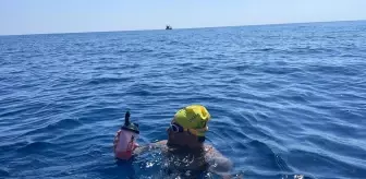 Bozyazı: Emre Seven, deniz kirliliğine dikkati çekmek amacıyla Mersin'den KKTC'ye yüzüyor Bozyazı: Emre Seven, deniz kirliliğine dikkati çekmek amacıyla Mersin'den KKTC'ye yüzüyor