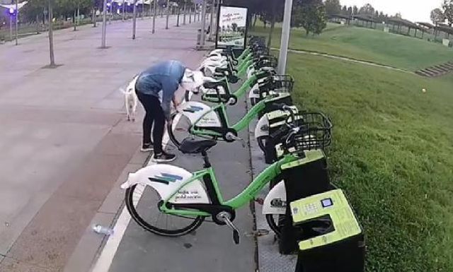 parktaki belediye bisikletlerinin lastiklerin 2 14426876 o