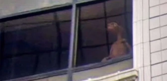 Pencerede gülümserken kameraya yakalandı! Evde tutulan yaratık ABD'de tartışma yarattı
