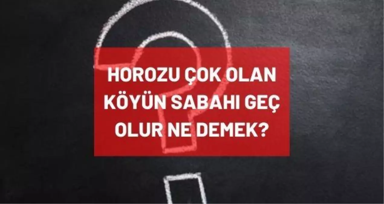 Horozu çok olan köyün sabahı geç olur atasözünün anlamı nedir, ne demek? Horozu çok olan köyde sabah geç olur TDK'ya göre ne anlama geliyor?