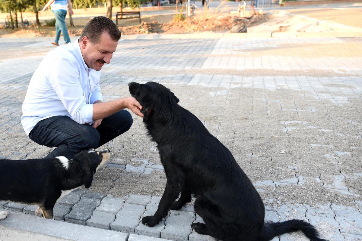 Sahiplenmek sizden Destek Büyükşehir'den - Vimarsana News