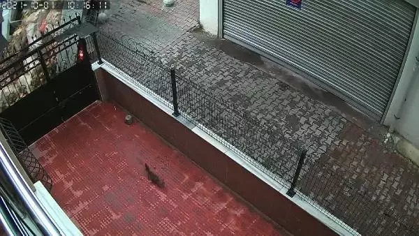 BAĞCILAR'DA PATATES-SOĞAN YÜKLÜ KAMYONET DEVRİLDİ; KASADAKİ SATICI ÖLÜMDEN DÖNDÜ