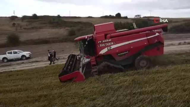 Çeltiğin başkenti İpsala'da damlama sulama yöntemi ile İlk defa ekilen çeltiğin hasadı yapıldı