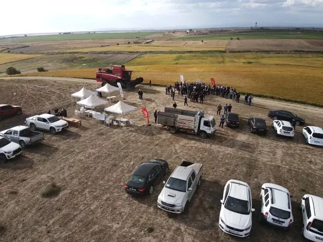 Çeltiğin başkenti İpsala'da damlama sulama yöntemi ile İlk defa ekilen çeltiğin hasadı yapıldı