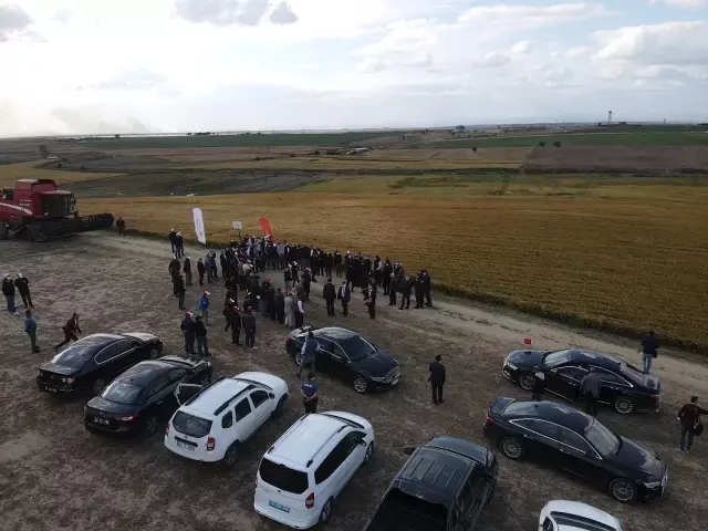 Çeltiğin başkenti İpsala'da damlama sulama yöntemi ile İlk defa ekilen çeltiğin hasadı yapıldı