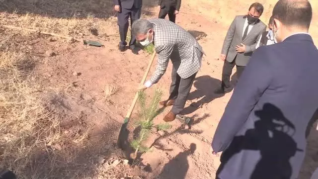 Kovid-19 aşısı olanlar için birer fidan dikiliyor