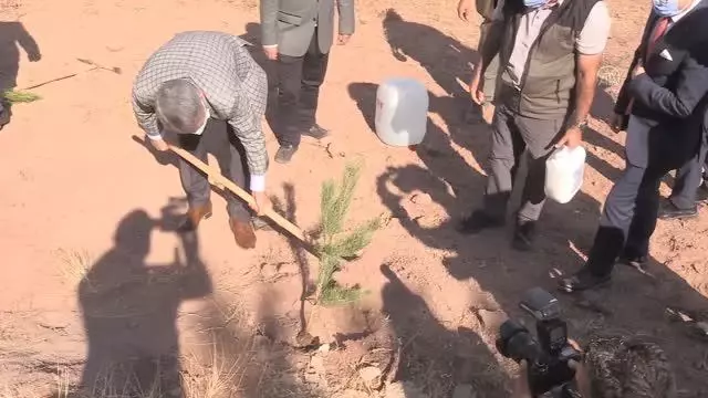 Kovid-19 aşısı olanlar için birer fidan dikiliyor