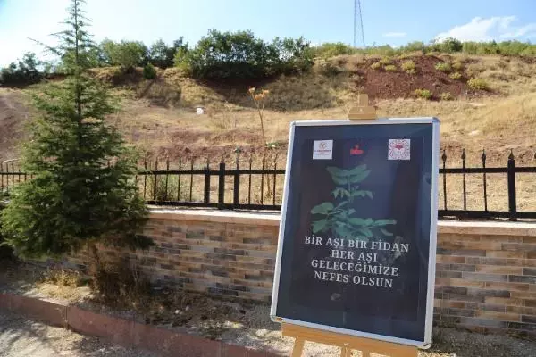 TUNCELİ'DE AŞI OLANLARIN ADINA FİDAN DİKİLMEYE BAŞLANDI