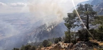Türkiye'den KKTC'deki yangına helikopter desteği