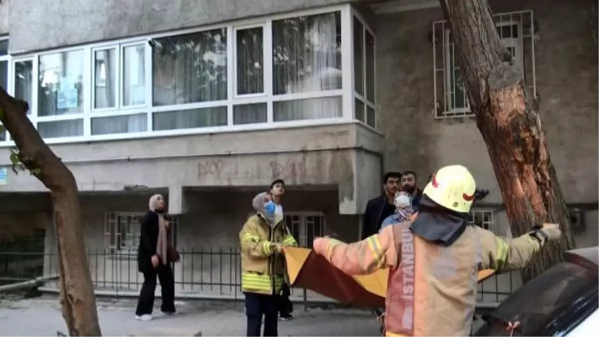 AVCILAR'DA AĞAÇTA MAHSUR KALAN KEDİYİ İTFAİYE KURTARDI