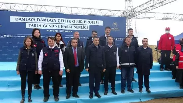 Son dakika! ÇANAKKALE - Tarım ve Orman Bakanı Pakdemirli, Çanakkale'de damla sulamayla ekilen çeltiğin hasadına katıldı Açıklaması