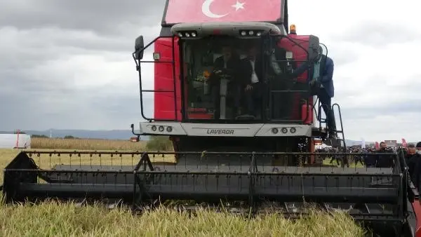 Son dakika! ÇANAKKALE - Tarım ve Orman Bakanı Pakdemirli, Çanakkale'de damla sulamayla ekilen çeltiğin hasadına katıldı Açıklaması