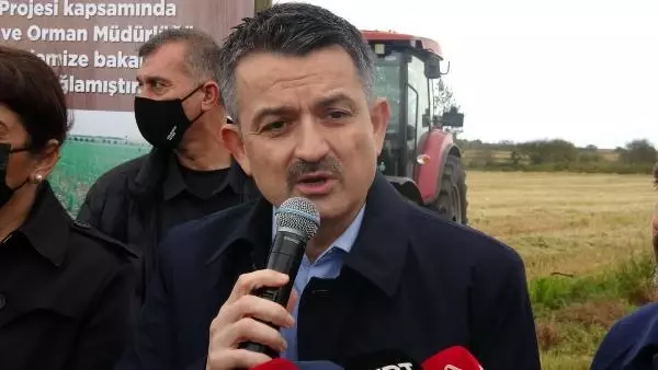 Son dakika! ÇANAKKALE - Tarım ve Orman Bakanı Pakdemirli, Çanakkale'de damla sulamayla ekilen çeltiğin hasadına katıldı Açıklaması