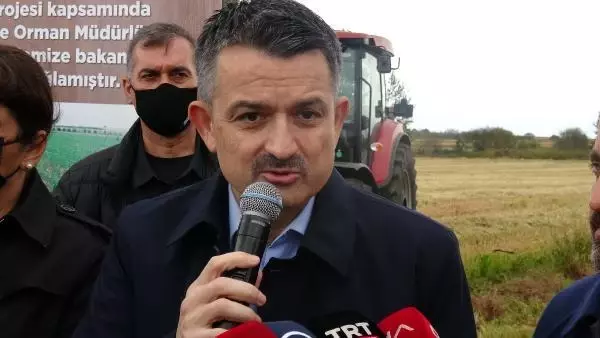 Son dakika! ÇANAKKALE - Tarım ve Orman Bakanı Pakdemirli, Çanakkale'de damla sulamayla ekilen çeltiğin hasadına katıldı Açıklaması