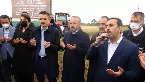Son dakika! ÇANAKKALE - Tarım ve Orman Bakanı Pakdemirli, Çanakkale'de damla sulamayla ekilen çeltiğin hasadına katıldı Açıklaması
