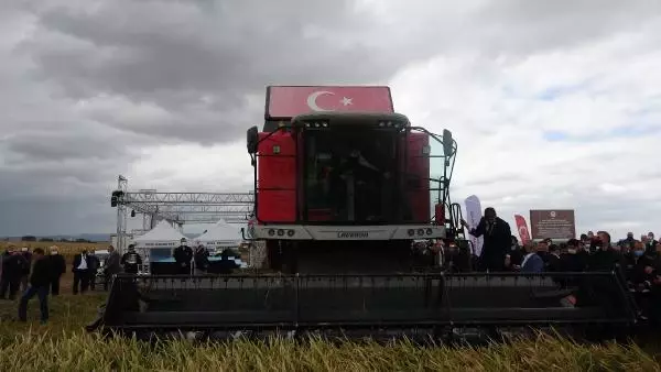 Son dakika! ÇANAKKALE - Tarım ve Orman Bakanı Pakdemirli, Çanakkale'de damla sulamayla ekilen çeltiğin hasadına katıldı Açıklaması