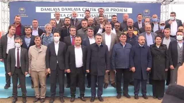 Son dakika! ÇANAKKALE - Tarım ve Orman Bakanı Pakdemirli, Çanakkale'de damla sulamayla ekilen çeltiğin hasadına katıldı Açıklaması
