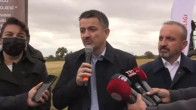 Son dakika! ÇANAKKALE - Tarım ve Orman Bakanı Pakdemirli, Çanakkale'de damla sulamayla ekilen çeltiğin hasadına katıldı Açıklaması